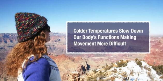 Cold Arizona